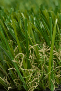 Likelawn 37mm Pasture