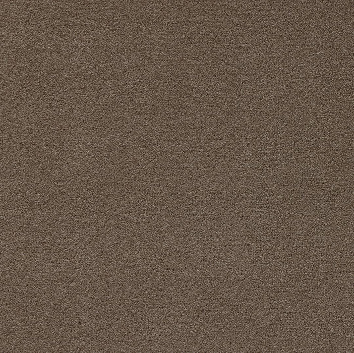 Latte Rug