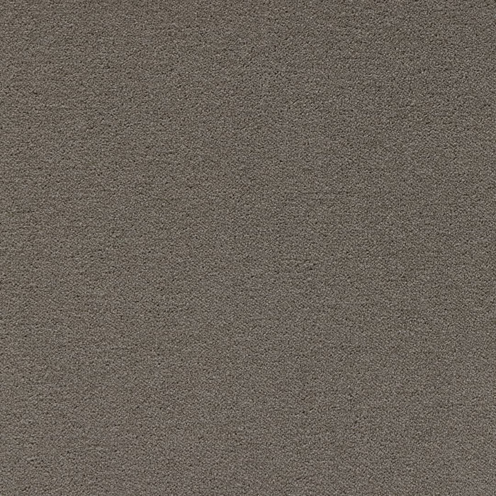 Latte Rug