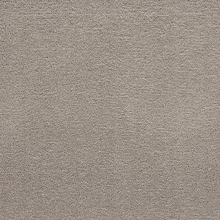 Latte Rug