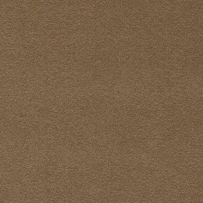 Latte Rug