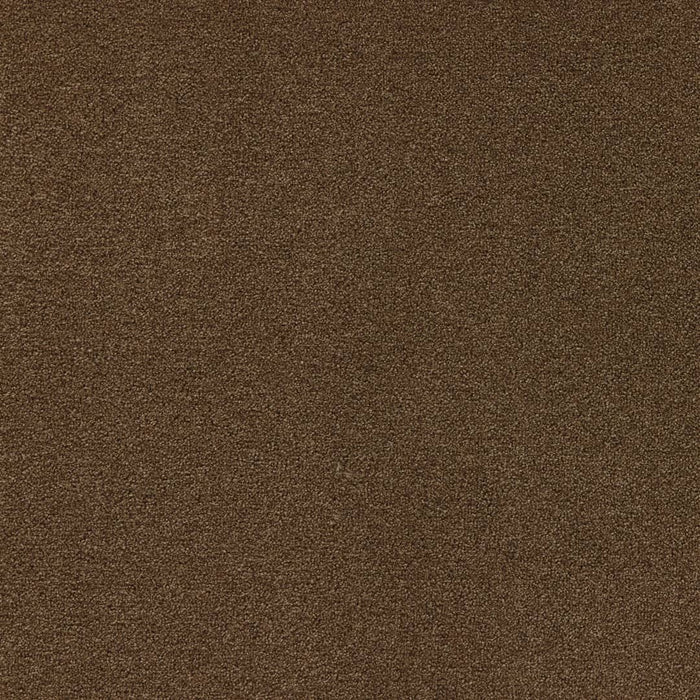 Latte Rug