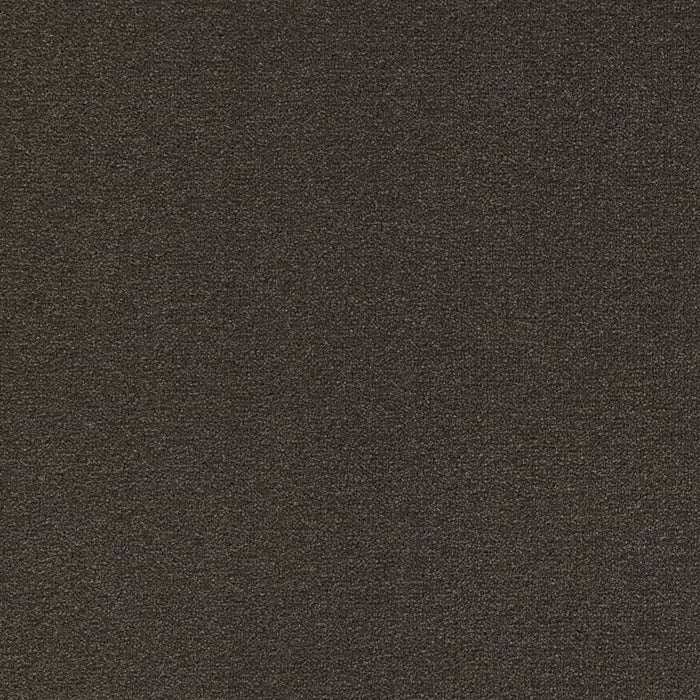 Latte Rug
