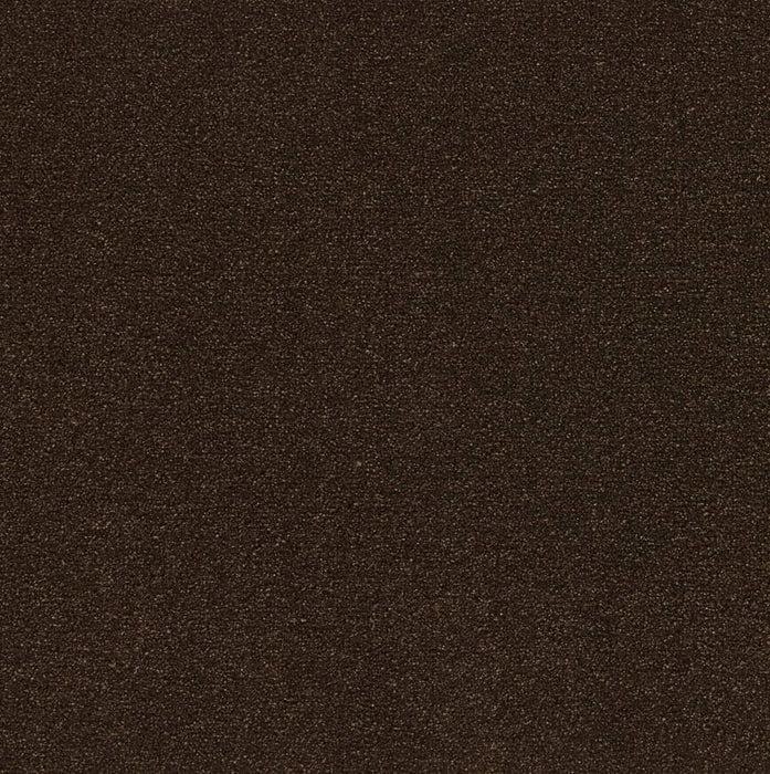 Latte Rug