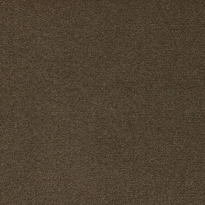 Latte Rug