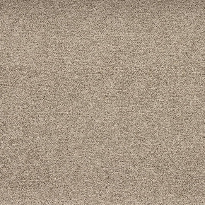 Latte Rug